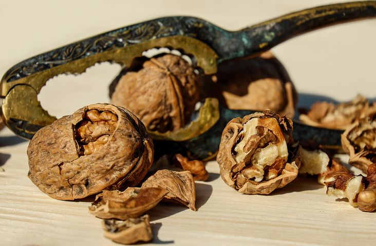 walnut-1751661__480 (c) pixabay